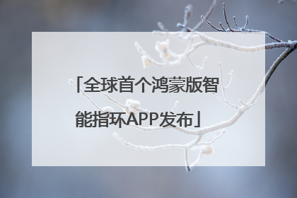 全球首个鸿蒙版智能指环APP发布
