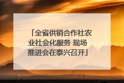 全省供销合作社农业社会化服务 现场推进会在泰兴召开