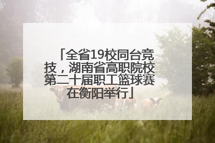 全省19校同台竞技，湖南省高职院校第二十届职工篮球赛在衡阳举行
