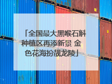 全国最大黑喉石斛种植区再添新景 金色花海扮靓龙陵