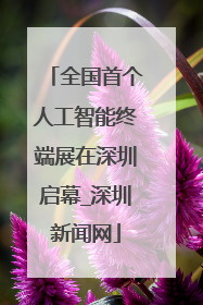 全国首个人工智能终端展在深圳启幕_深圳新闻网