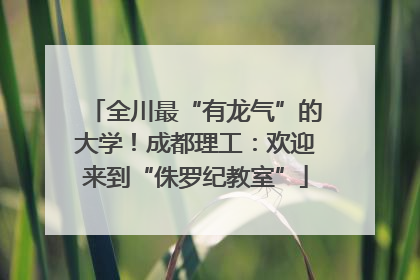 全川最“有龙气”的大学！成都理工：欢迎来到“侏罗纪教室”