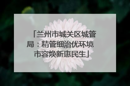 兰州市城关区城管局：精管细治优环境 市容焕新惠民生