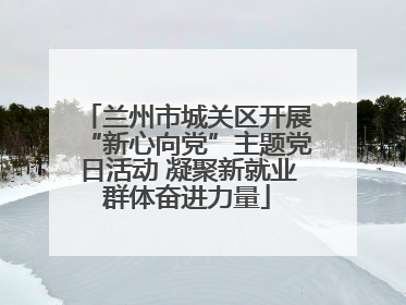 兰州市城关区开展“新心向党”主题党日活动 凝聚新就业群体奋进力量