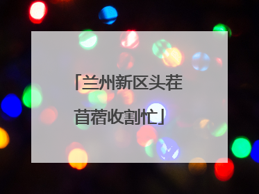 兰州新区头茬苜蓿收割忙