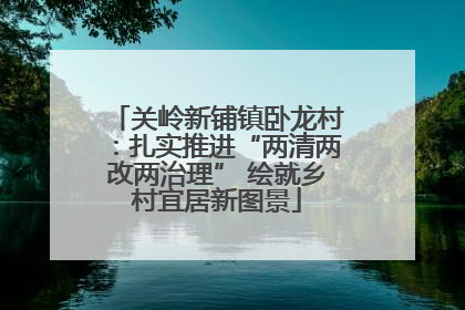 关岭新铺镇卧龙村：扎实推进“两清两改两治理” 绘就乡村宜居新图景