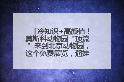 冷知识+高颜值！莫斯科动物园“顶流”来到北京动物园，这个免费展览，遛娃拍照两不误！