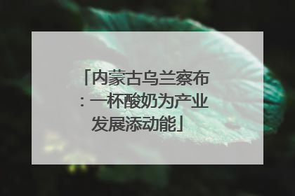 内蒙古乌兰察布：一杯酸奶为产业发展添动能