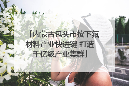 内蒙古包头市按下氟材料产业快进键 打造千亿级产业集群