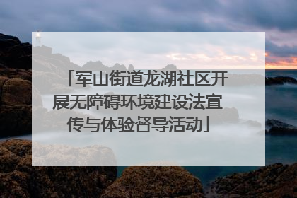 军山街道龙湖社区开展无障碍环境建设法宣传与体验督导活动