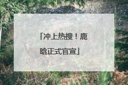 冲上热搜！鹿晗正式官宣