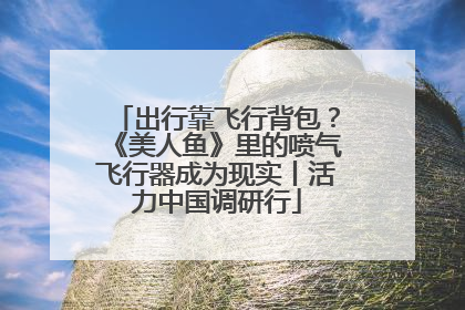 出行靠飞行背包？《美人鱼》里的喷气飞行器成为现实丨活力中国调研行