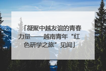 凝聚中越友谊的青春力量——越南青年“红色研学之旅”见闻