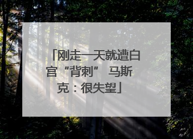 刚走一天就遭白宫“背刺” 马斯克：很失望