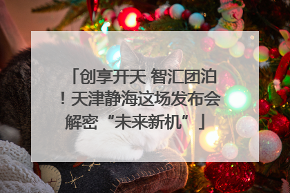 创享开天 智汇团泊！天津静海这场发布会解密“未来新机”
