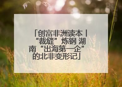 创富非洲读本丨“裁缝”炼钢 湖南“出海第一企”的北非变形记