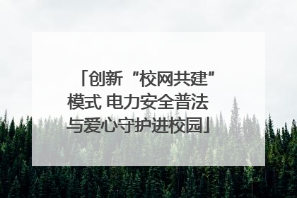 创新“校网共建”模式 电力安全普法与爱心守护进校园