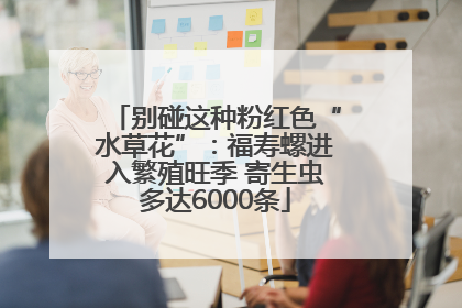 别碰这种粉红色“水草花”：福寿螺进入繁殖旺季 寄生虫多达6000条