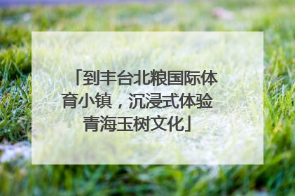 到丰台北粮国际体育小镇，沉浸式体验青海玉树文化