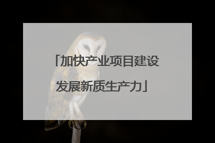加快产业项目建设 发展新质生产力