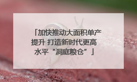 加快推动大面积单产提升 打造新时代更高水平“洞庭粮仓”
