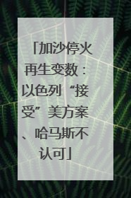 加沙停火再生变数：以色列“接受”美方案、哈马斯不认可