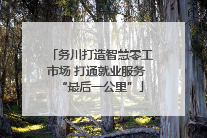 务川打造智慧零工市场 打通就业服务“最后一公里”