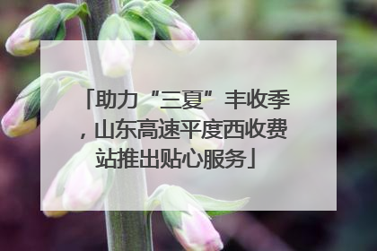 助力“三夏”丰收季，山东高速平度西收费站推出贴心服务
