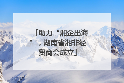 助力“湘企出海”，湖南省湘非经贸商会成立