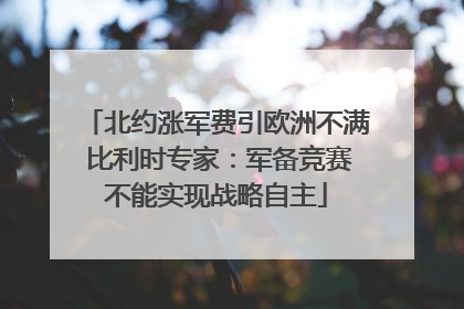 北约涨军费引欧洲不满 比利时专家：军备竞赛不能实现战略自主