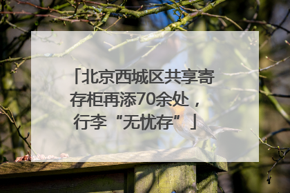 北京西城区共享寄存柜再添70余处，行李“无忧存”