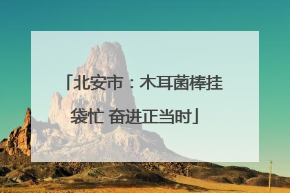 北安市：木耳菌棒挂袋忙 奋进正当时