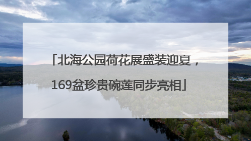 北海公园荷花展盛装迎夏，169盆珍贵碗莲同步亮相