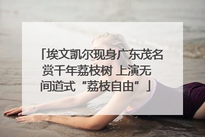 埃文凯尔现身广东茂名 赏千年荔枝树 上演无间道式“荔枝自由”
