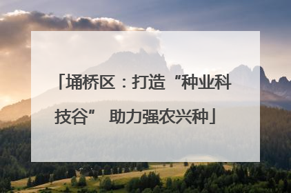 埇桥区：打造“种业科技谷” 助力强农兴种