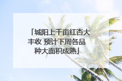 城阳上千亩红杏大丰收 预计下周各品种大面积成熟