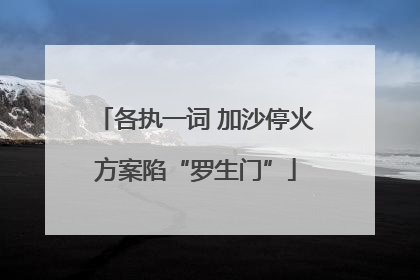各执一词 加沙停火方案陷“罗生门”