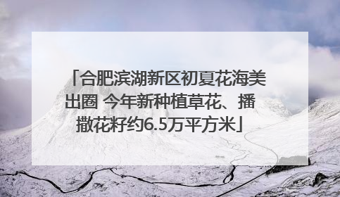合肥滨湖新区初夏花海美出圈 今年新种植草花、播撒花籽约6.5万平方米