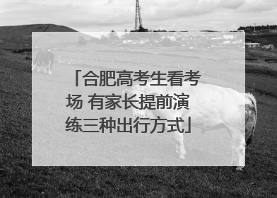 合肥高考生看考场 有家长提前演练三种出行方式