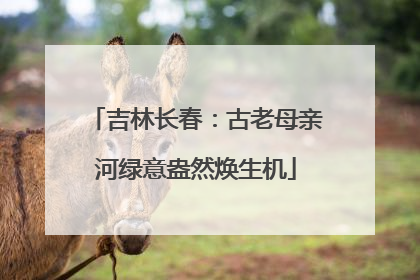 吉林长春：古老母亲河绿意盎然焕生机