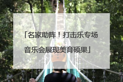 名家助阵！打击乐专场音乐会展现美育硕果