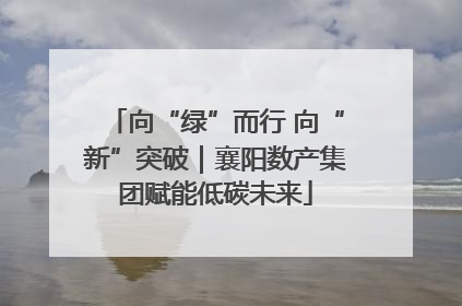 向“绿”而行 向“新”突破｜襄阳数产集团赋能低碳未来