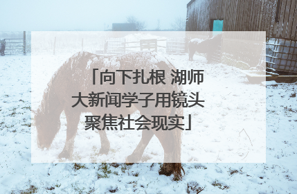 向下扎根 湖师大新闻学子用镜头聚焦社会现实