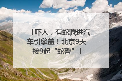 吓人，有蛇藏进汽车引擎盖！北京9天接9起“蛇警”