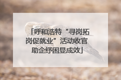 呼和浩特“寻岗拓岗促就业”活动收官 助企纾困显成效