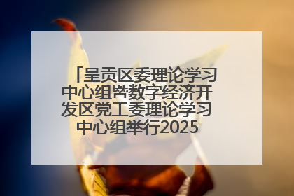 呈贡区委理论学习中心组暨数字经济开发区党工委理论学习中心组举行2025年第七次学习会议