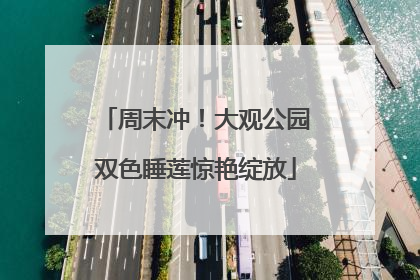 周末冲！大观公园双色睡莲惊艳绽放
