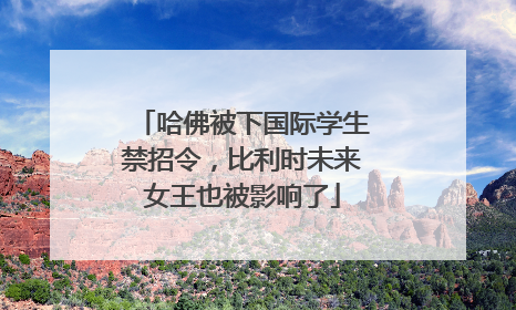 哈佛被下国际学生禁招令，比利时未来女王也被影响了