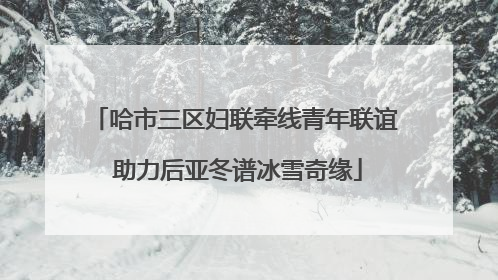 哈市三区妇联牵线青年联谊 助力后亚冬谱冰雪奇缘
