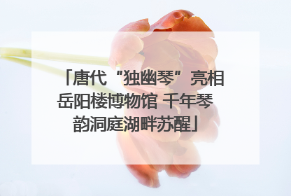 唐代“独幽琴”亮相岳阳楼博物馆 千年琴韵洞庭湖畔苏醒